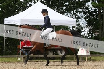 135518_ms_01_IMG_1546.JPG