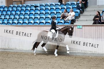 181887_mtp_04_R62_8930.JPG