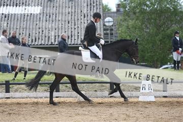 147698_nn_01_IMG_0072.JPG