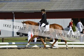 136195_abo_01__AB16477.JPG