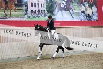 181887_mtp_04_R62_9334.JPG