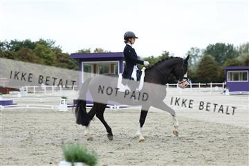 181923_mtp_01_R62_6747.JPG