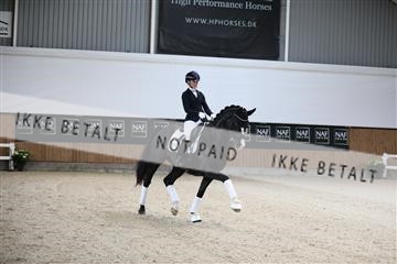 179088_mtp_01_3M5A3268.JPG