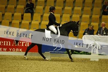 144963_ms_01__MG_9832.JPG