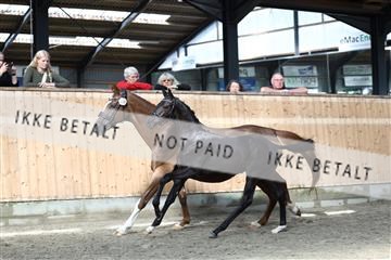 181757_avh_01_8026.JPG