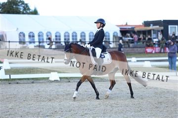 181894_mtp_05_R62_5438.JPG