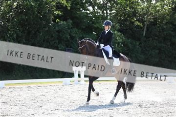 172073_mtp_01_3M5A4740.JPG
