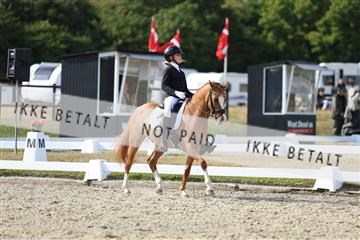 181894_mtp_05_R62_5015.JPG