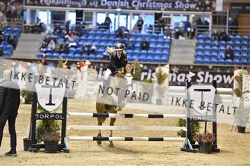 161006_abo_01__D051789.JPG