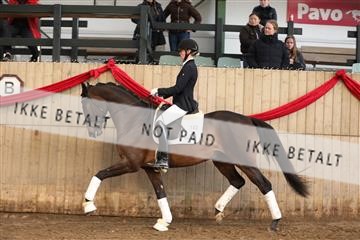 170266_mtp_01_3M5A0460.JPG