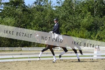 136195_abo_01__AB16052.JPG