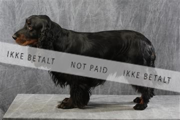 129608_le_ 01_0804.JPG