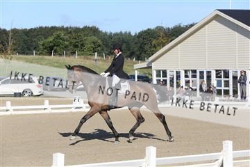 148862_sg_01_IMG_2727.JPG
