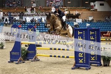175934_avh_02_7250.JPG