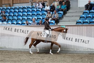 181887_mtp_01_R62_7068.JPG