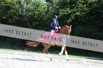172073_mtp_01_3M5A4691.JPG
