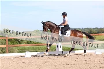181449_bc_01R62_6008.JPG