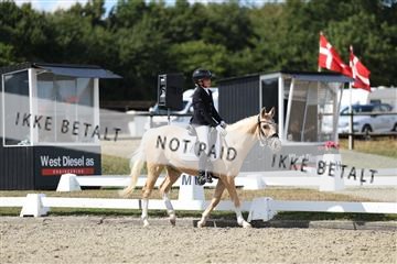 181894_mtp_05_R62_4605.JPG
