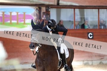 175442_kbb_01_R6II0184.JPG