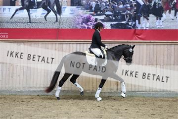 181887_mtp_04_R62_9284.JPG