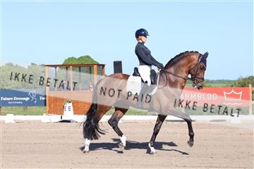 181449_bc_01R62_6176.JPG