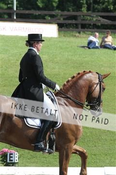 135676_sg_01_IMG_7847.JPG