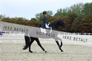 181923_mtp_01_R62_6985.JPG