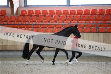 175139_bc_03_R62_4289.JPG