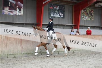 181867_mtp_01_R62_4150.JPG