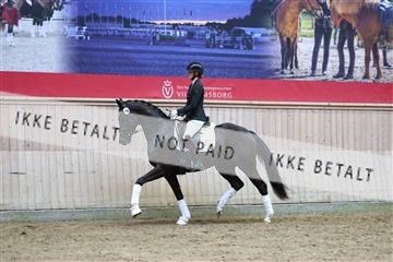181887_mtp_04_R62_9242.JPG