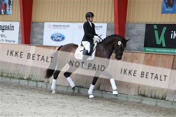 181867_mtp_02_R62_4733.JPG