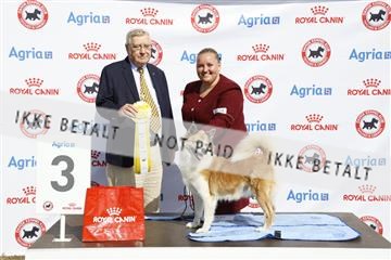 181848_kar_01__62_2351.JPG