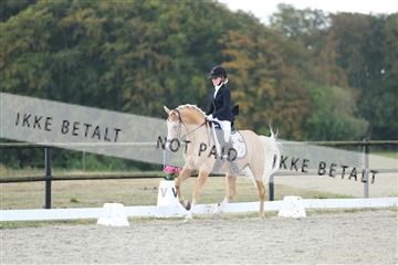 181894_mtp_04_R62_4027.JPG