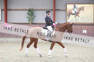 173883_mtp_01_3M5A0850.JPG