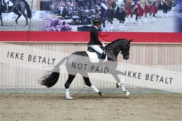 181887_mtp_04_R62_8799.JPG
