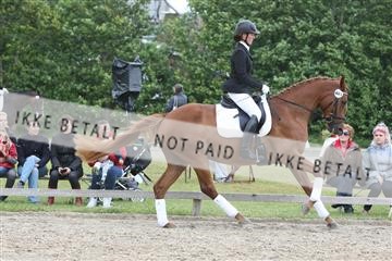 135518_ms_01_IMG_1777.JPG