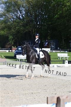 179330_avh_01_8596.JPG