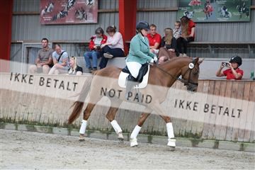 181867_mtp_01_R62_3830.JPG