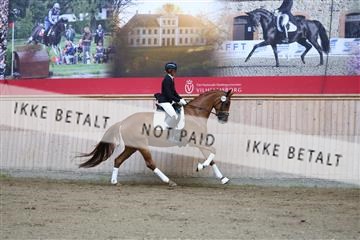 181887_mtp_02_R62_7475.JPG