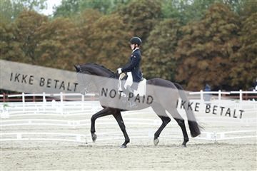 181923_mtp_04_R62_8912.JPG