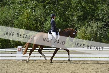 136195_abo_01__AB15996.JPG