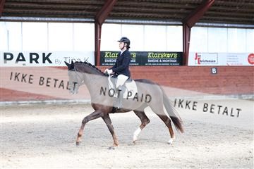 175442_kbb_01_R6II0239.JPG
