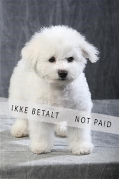 129608_le_ 01_0561.JPG