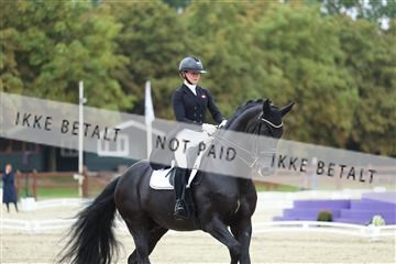 181923_mtp_03_R62_7672.JPG