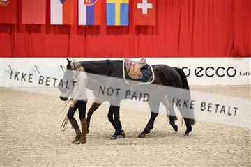 178838_mtp_04_0E6A4425.JPG