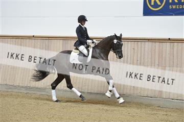 160111_nn_01__ESK1820.JPG