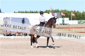 181449_bc_01R62_5974.JPG
