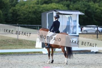 181894_mtp_05_R62_5331.JPG