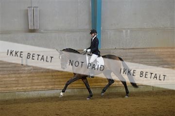 144288_abo_01__AB21926.JPG