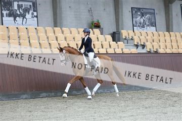 181852_mtp_04_R62_2769.JPG